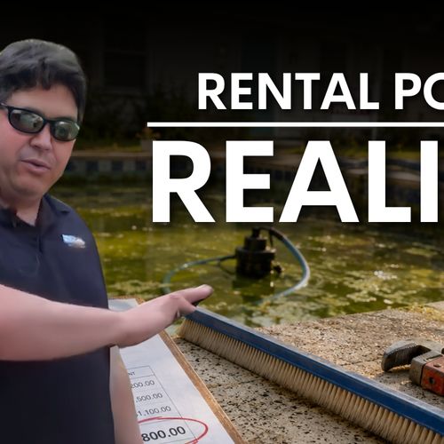 What Happens When Your Rental Property Pool Turns Into a Swamp