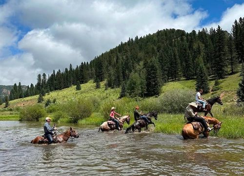 Steamboat Ranches 35