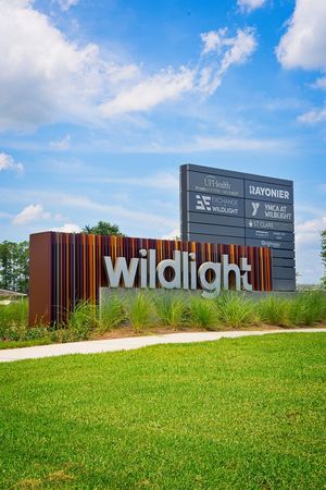 Wildlight