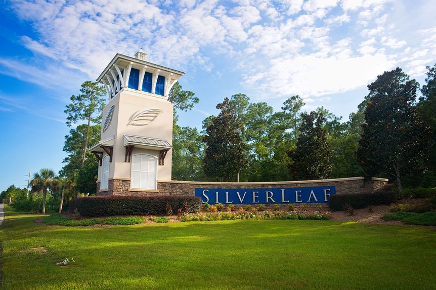 Silverleaf