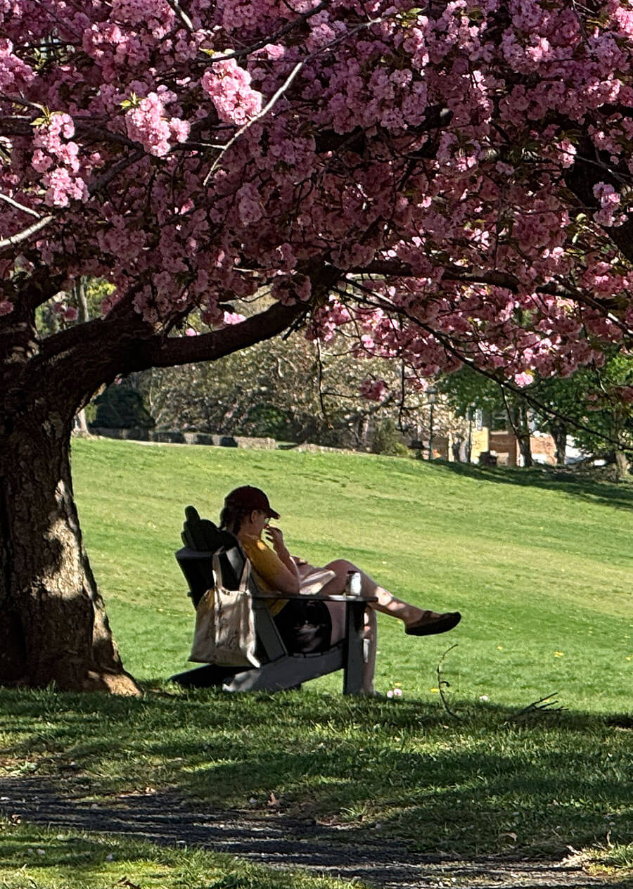 South-Orange-Park-2