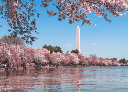 Washington DC Area guide