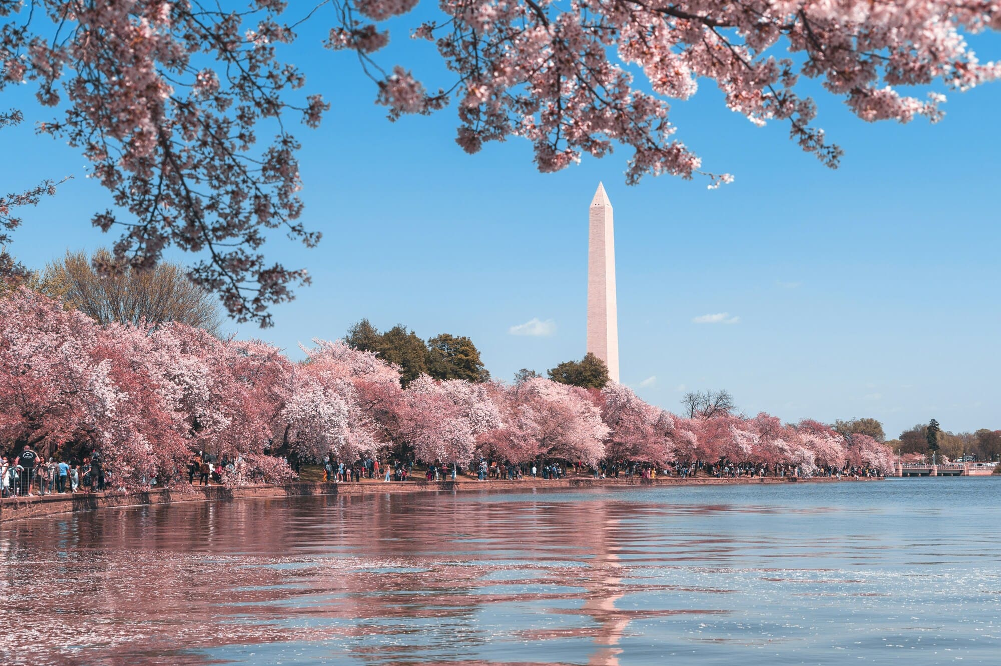 Washington, D.C. Area Guide — BW Metro Properties The Washington DC skyline and monuments at dusk — the area guide market served by BW Metro Properties