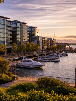 Waterfront