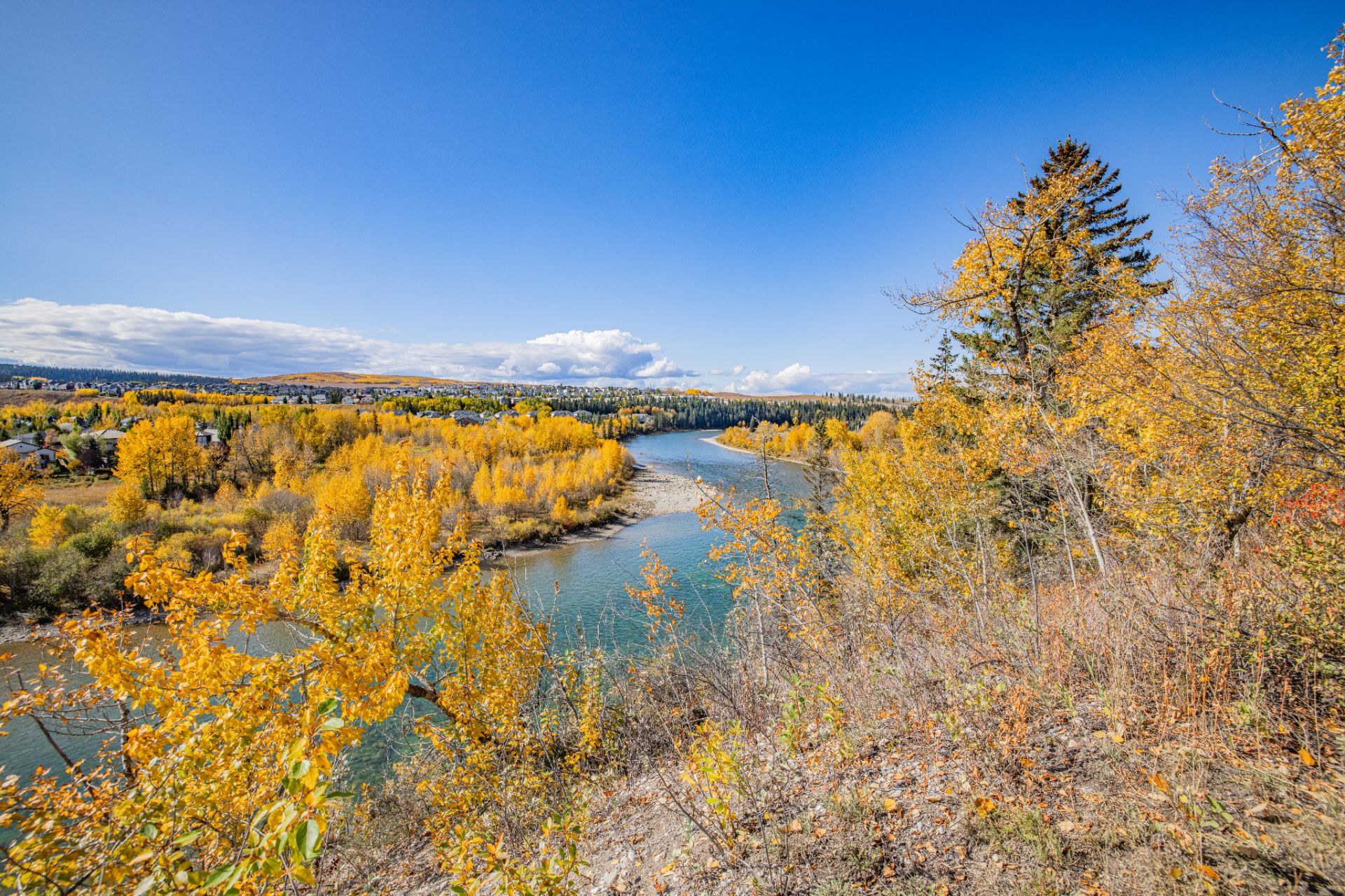 Autumn landscape overlooking the Bow River with colorful fall foliage in Cochrane