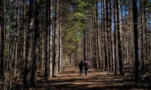 The Best Parks & Trails in Pickering, Ontario