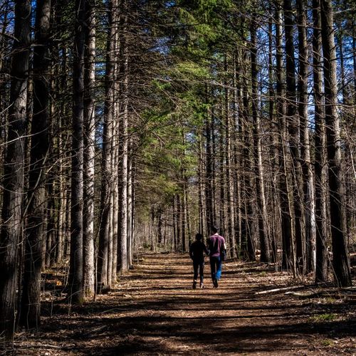 The Best Parks & Trails in Pickering, Ontario