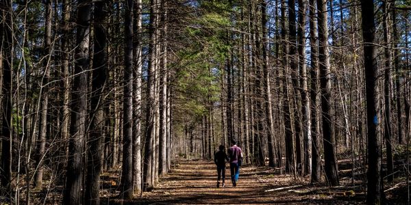 The Best Parks & Trails in Pickering, Ontario
