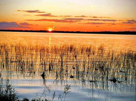 Shawano