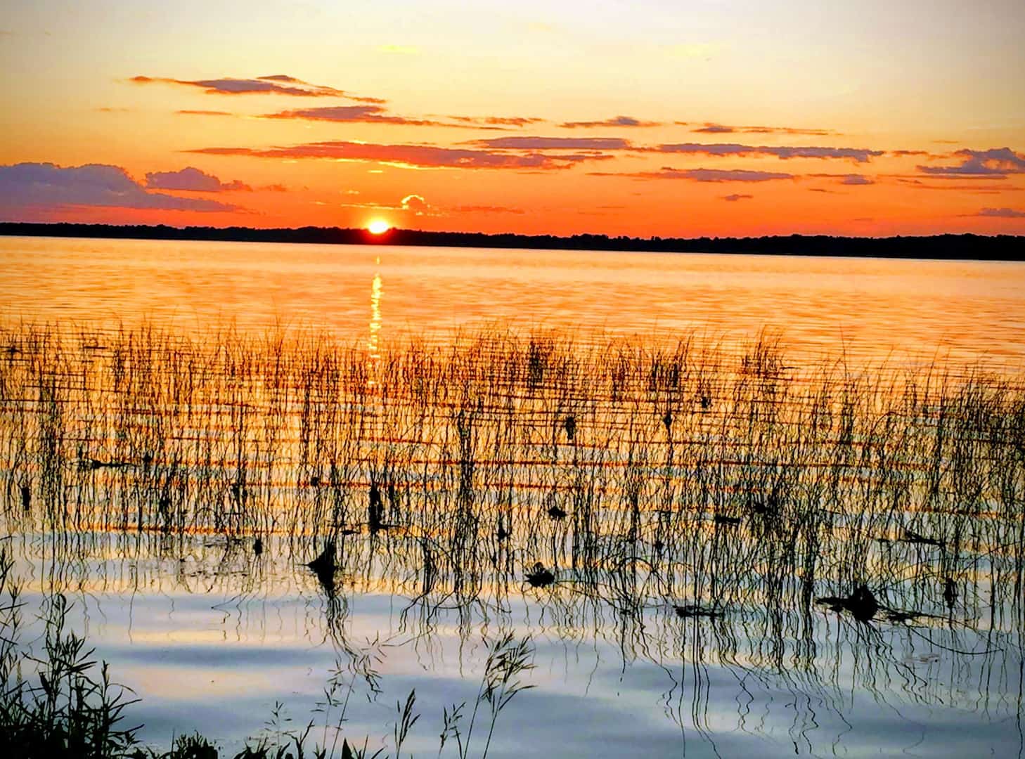Shawano