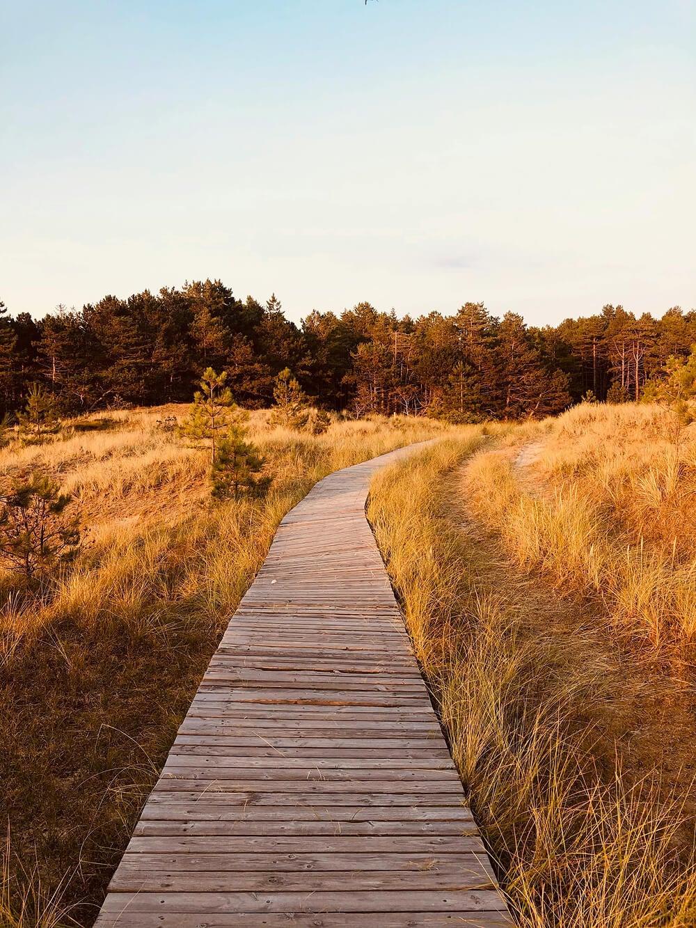 boardwalk (1) (1)