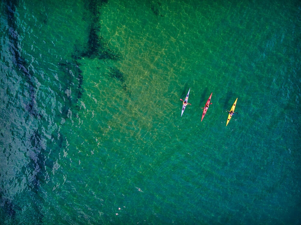 kayaks (1) (1)