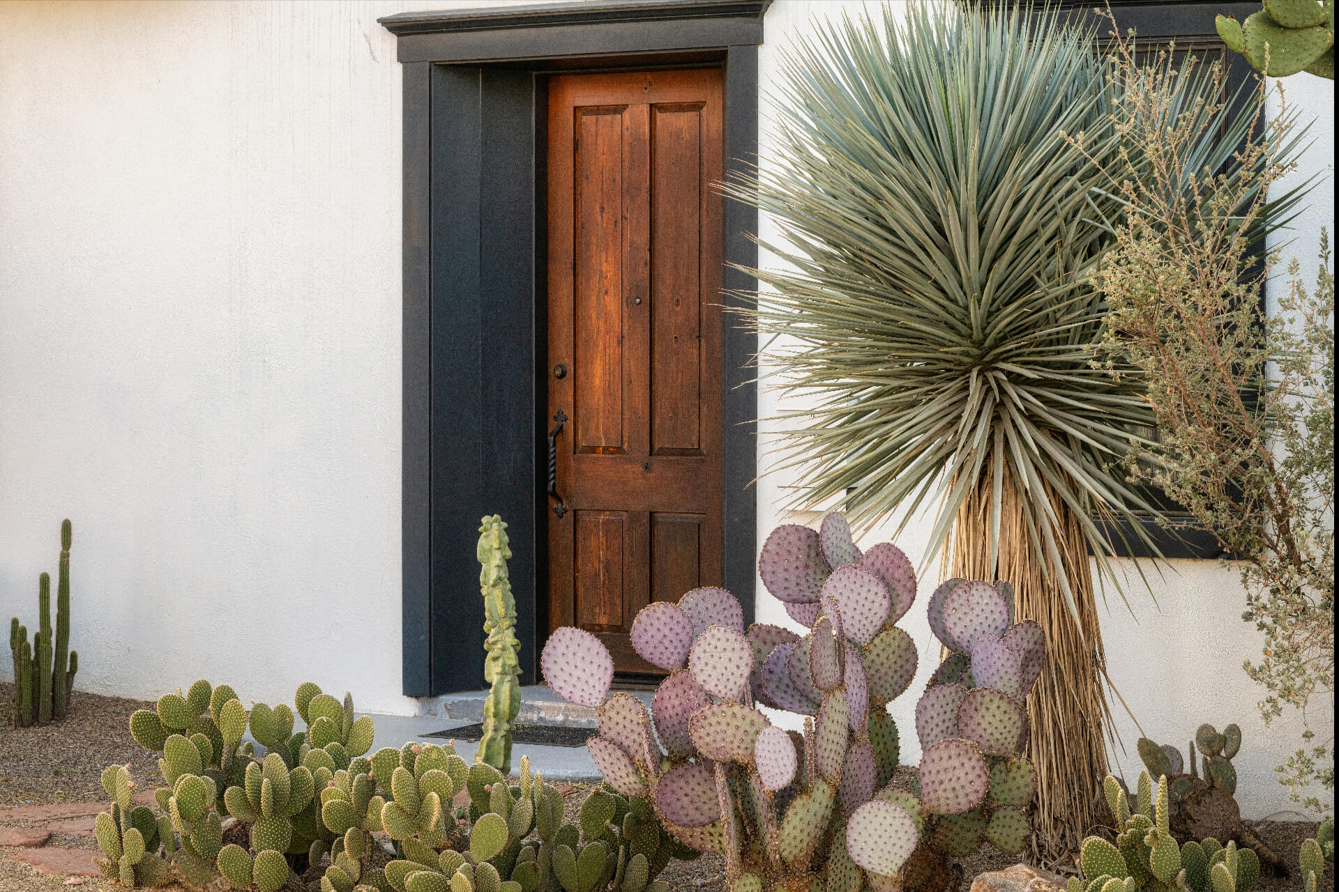 Tucson - Colorful Adobe Home in the Barrio in Tucson