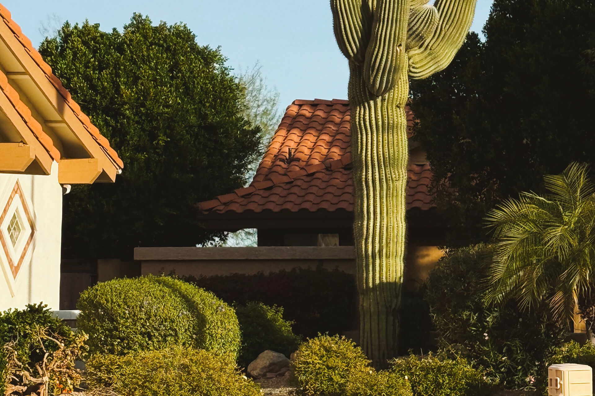 Saguaro and Tile Rooftops in the West Valley