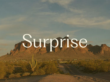 Surprise
