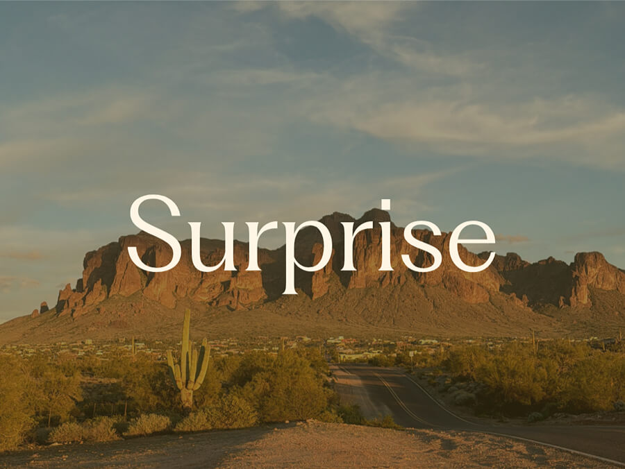 Surprise (cover image)