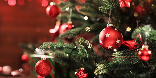 15 Best Christmas Decorations for 2022