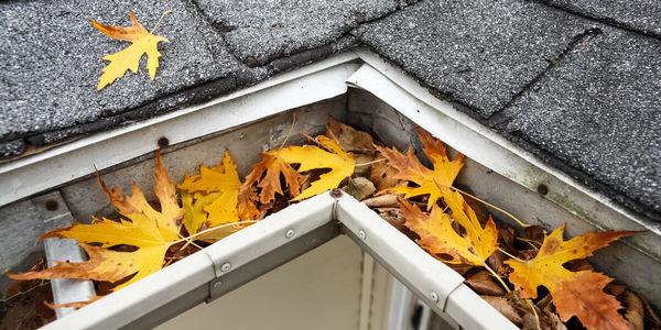 Gutter Maintenance That Could Save You Thousands!