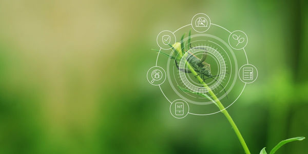 Eco-Friendly Pest Management