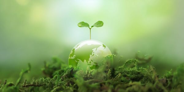 5 Tips For Eco-Friendly Living