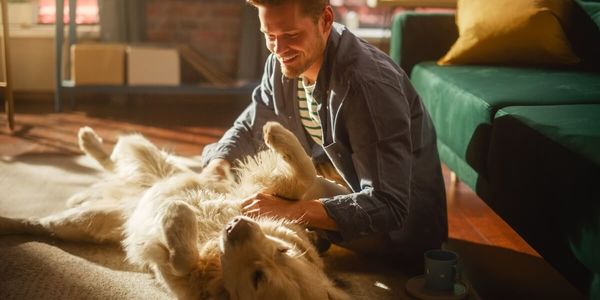 Pet-Friendly Home Features That Boost Value