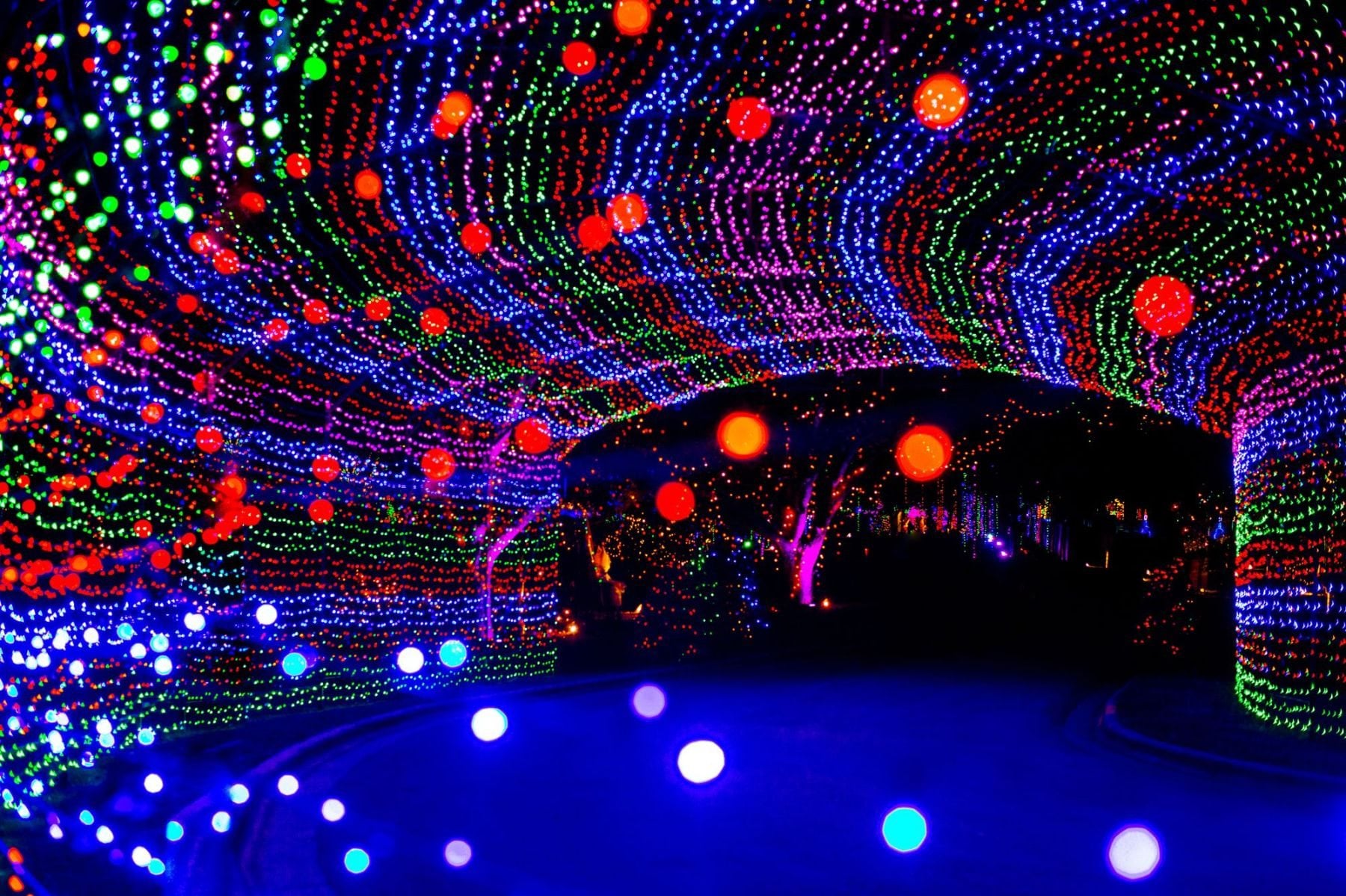 Light tunnel at the Austin Trail of Lights in Zilker Park