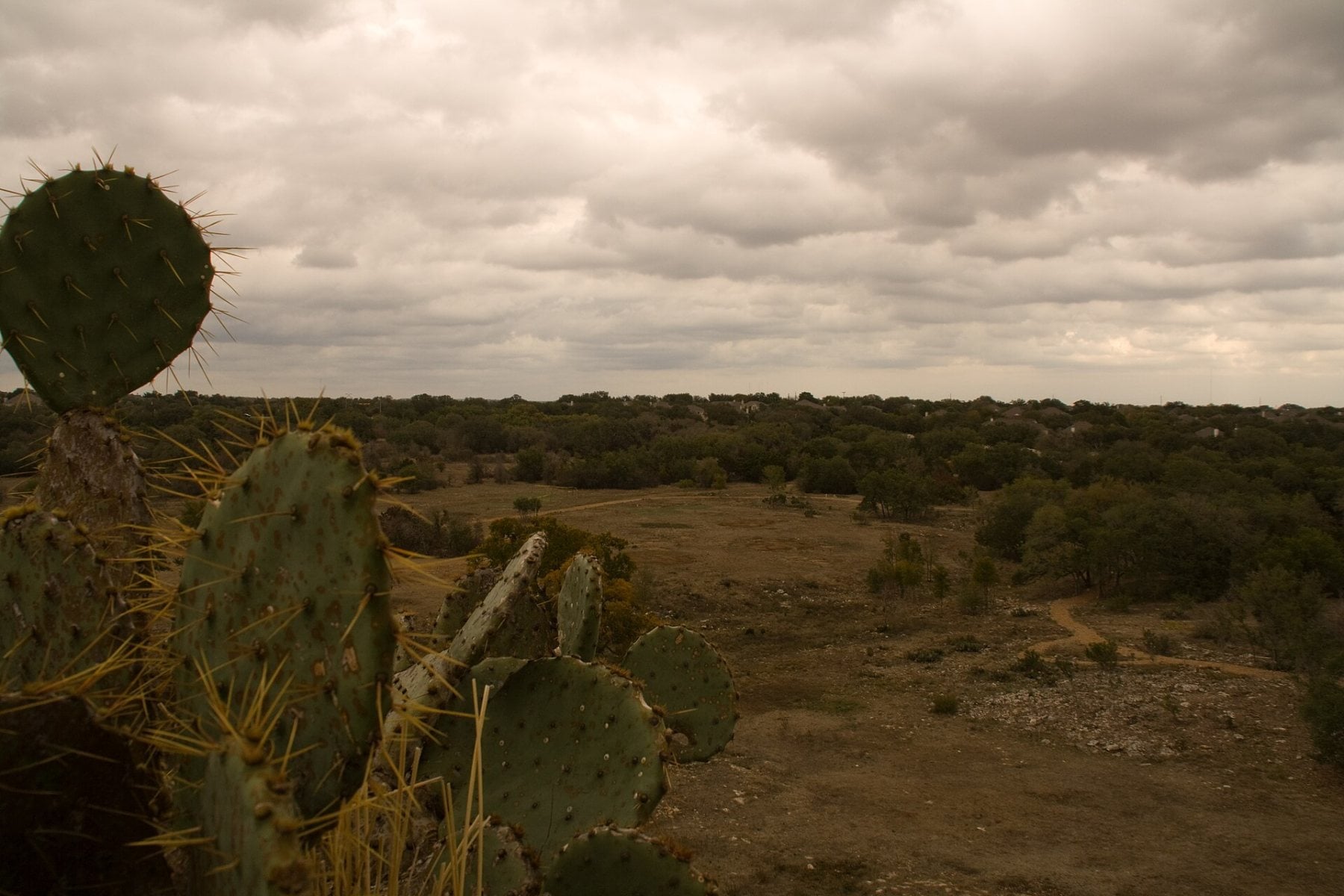 Lady Bird Johnson Wildflower Center looking toward Circle C Ranch in Southwest Austin