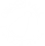 Beachball round logo wo white outline and r (1) (1)