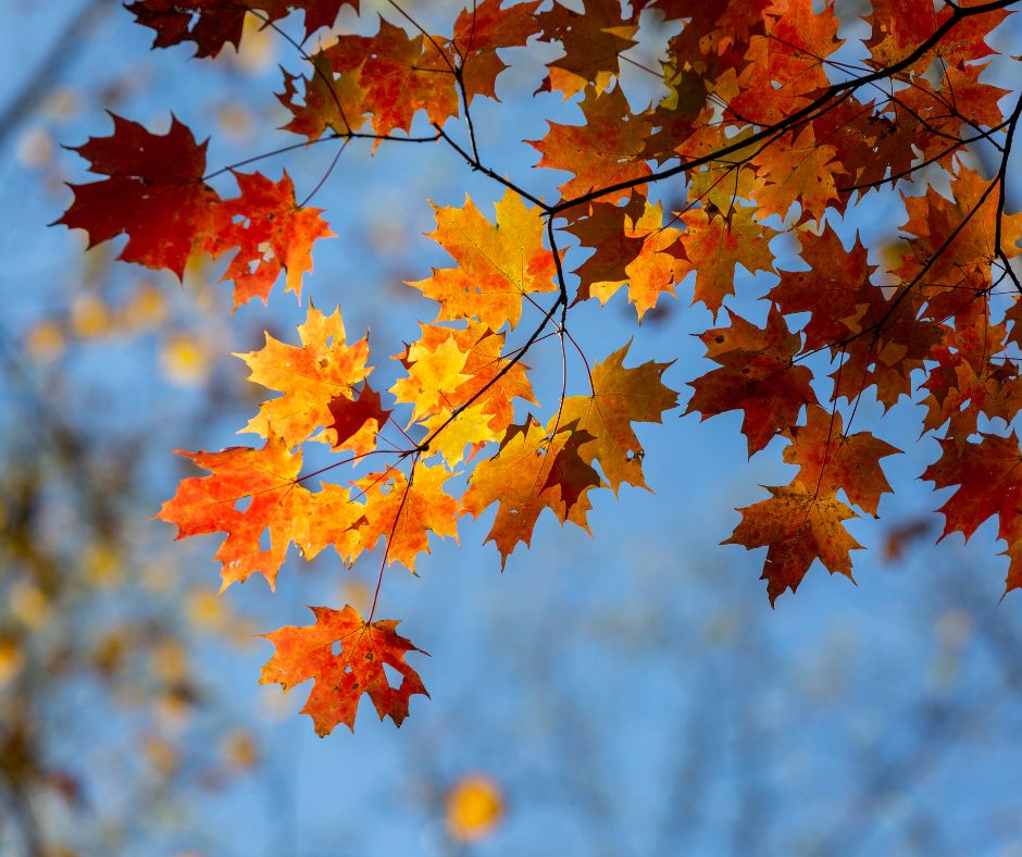 Is Waiting Until Fall a Smart Move for Home Buyers?