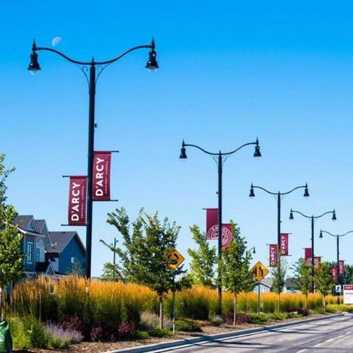 Living in D'Arcy Ranch: What Buyers Should Know