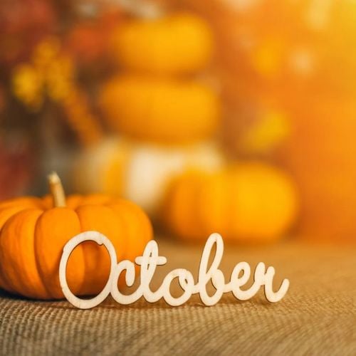 October Okotoks Real Estate Recap: What Changed This Month?