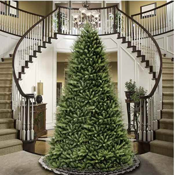 Christmas tree in foyer