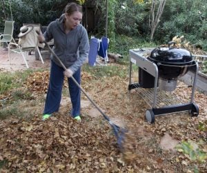 Women raking leaves