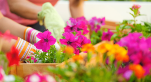 20250324-4-Things-To-Expect-From-the-Spring-Housing-Market-original