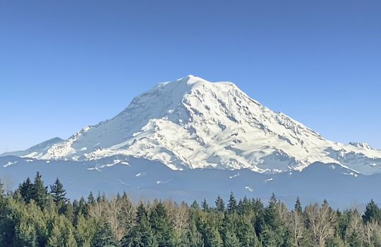Mt Rainier 1