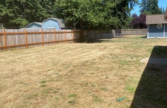 Back Yard - Fry
