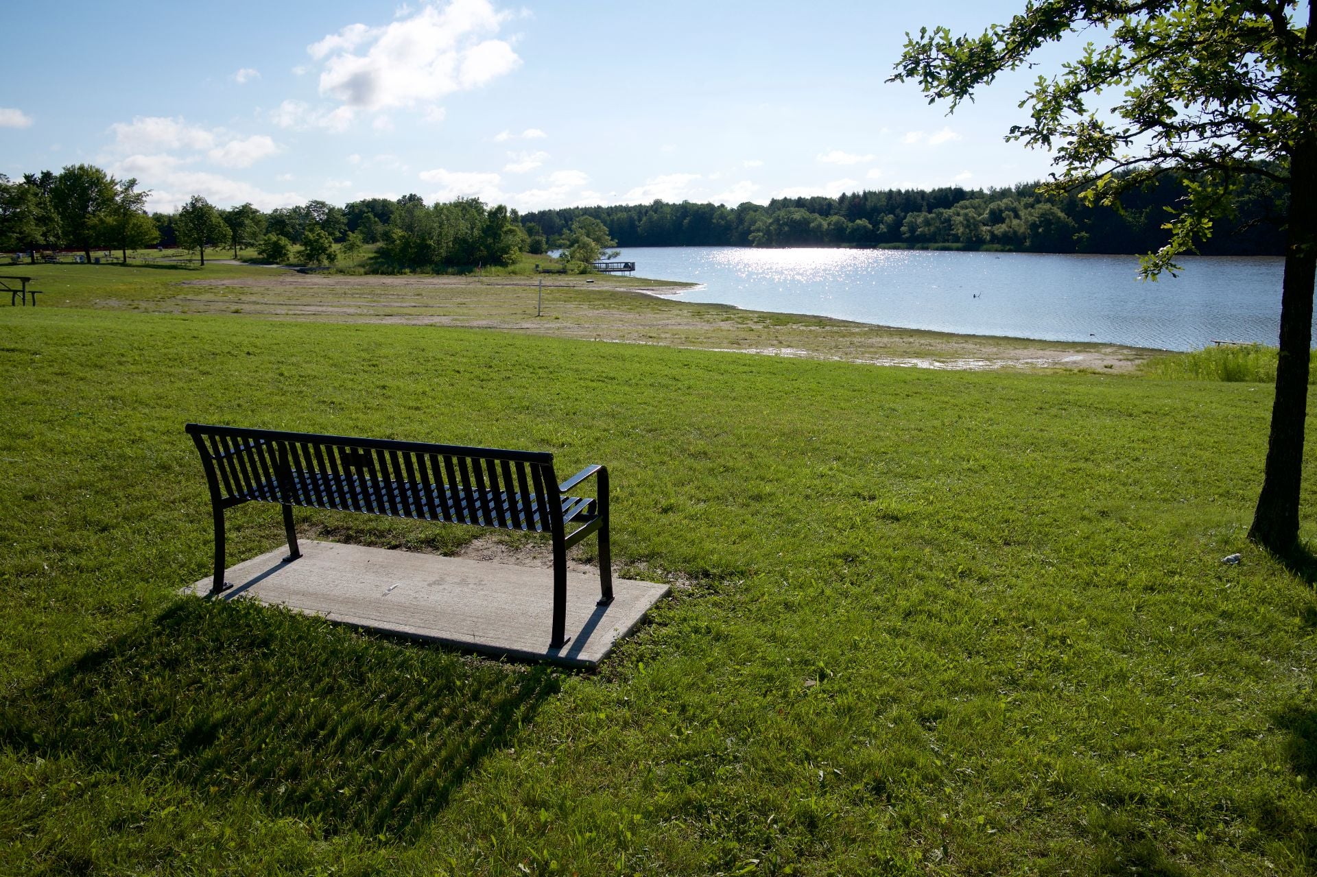 View from the park bench at Milne Dam Conservation Park, Markham, Ontario, Canada.