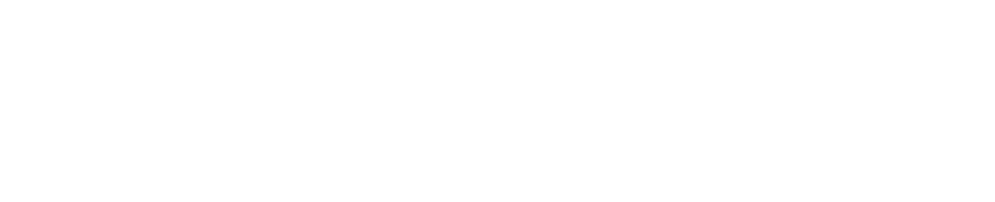 the317agent top left logo of website white