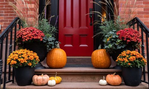 4 Reasons Why Fall is a Fantastic Time &hellip;
