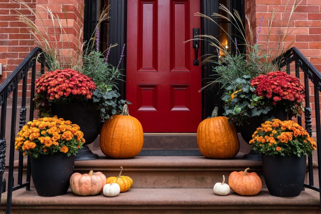 AdobeStock_401998780-1024x683