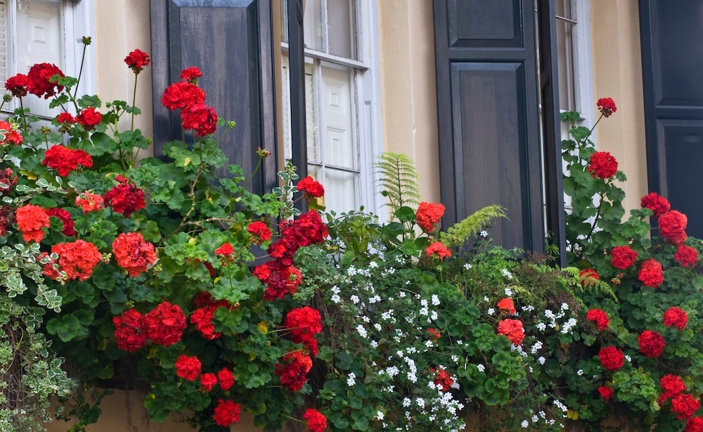 homexteriorwitflowers