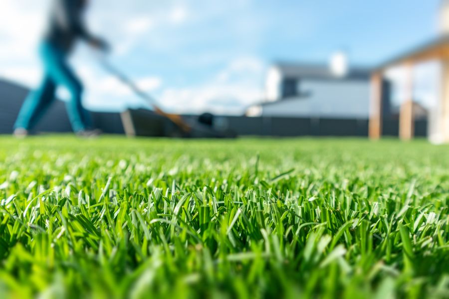 manicured-lawn