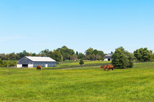 Hobby Farms