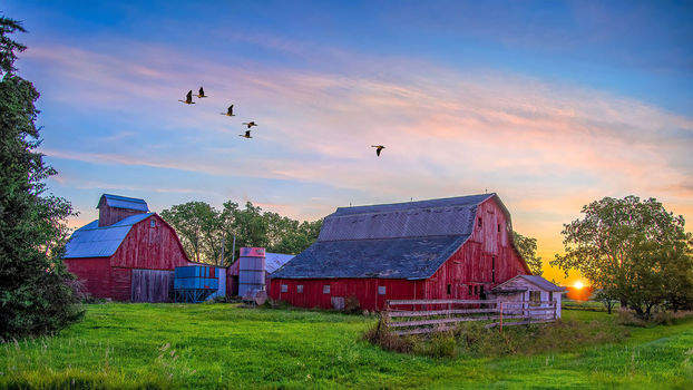 Rural Family Homes