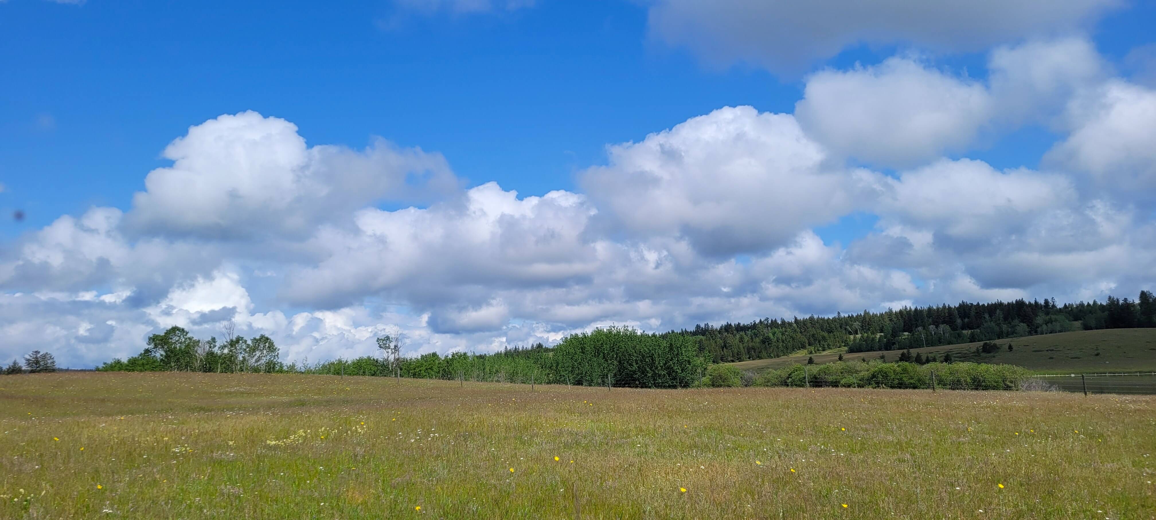 Acreage-property-near-100-Mile-House