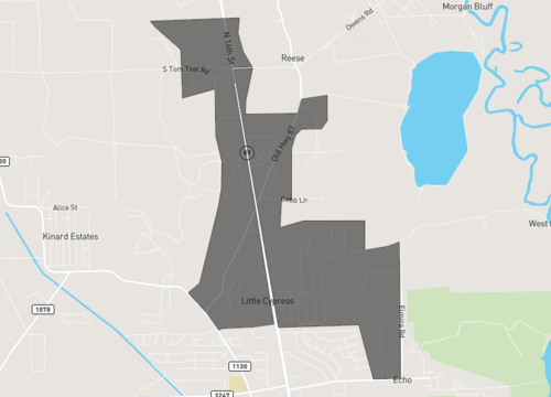 little cypress.png
