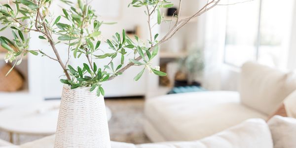 Top Reasons to Choose Dayna Simmons Real Estate &hellip;