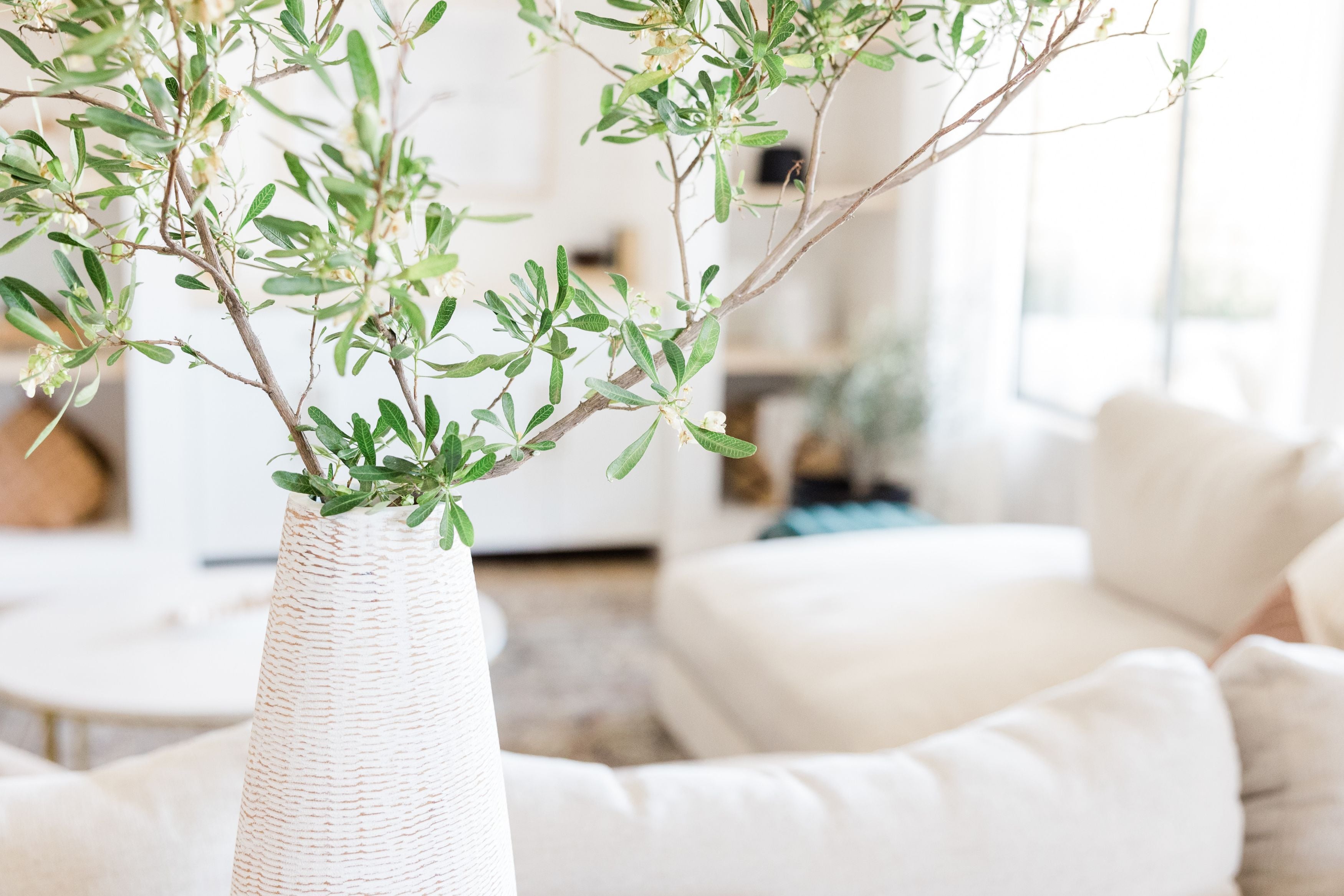 Top Reasons to Choose Dayna Simmons Real Estate &hellip;