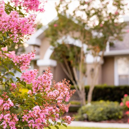 Are Home Prices Going Up or Down in Southeast Texas Right Now, and What Does That Mean for Buyers and Sellers?