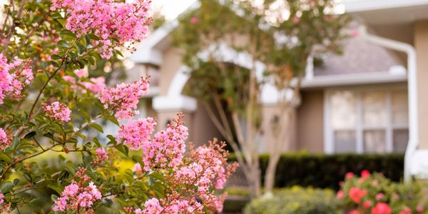 Are Home Prices Going Up or Down in &hellip;